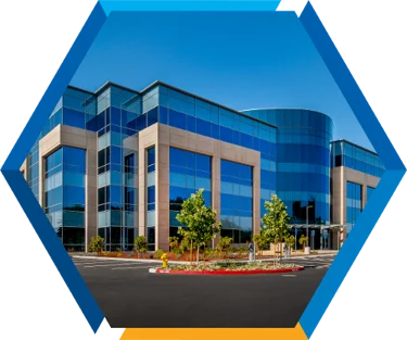 Project spotlight